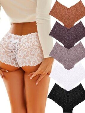 5 Pack Sexy Underwear Panties for Women Cheeky V Waist Lace Boyshorts